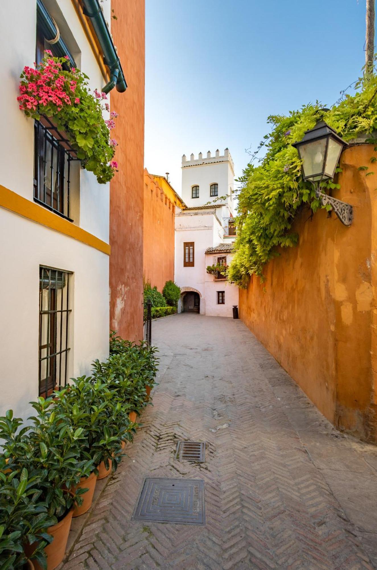 Encantador Apartamento A Un Paso De La Catedral Seville Luaran gambar