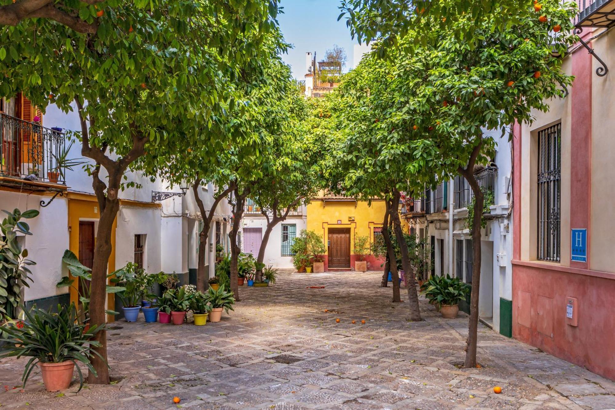 Encantador Apartamento A Un Paso De La Catedral Seville Luaran gambar